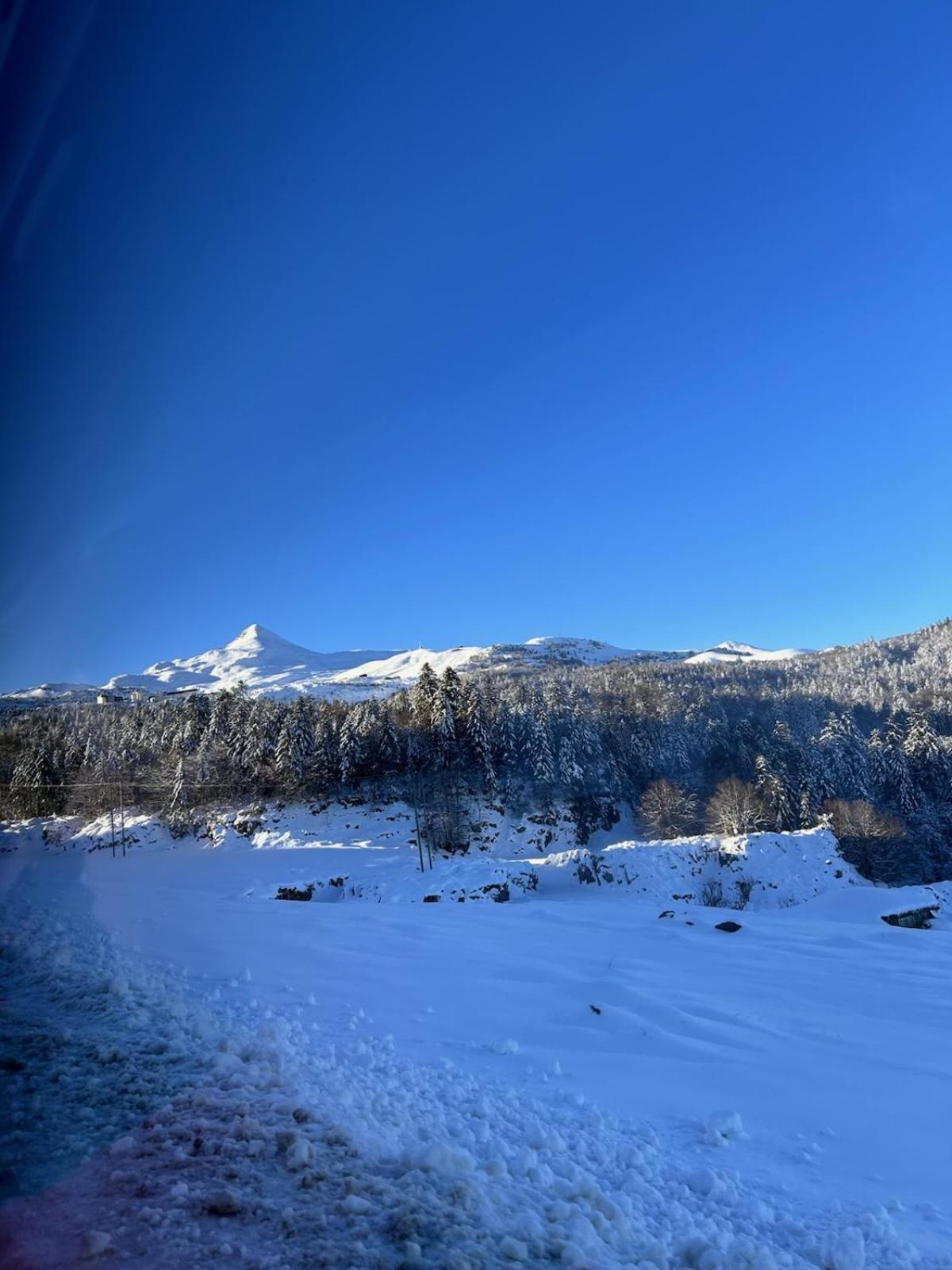 La Suite Unique - Le Jardin Sur Les Pyrenees- Vue Panoramique Montagne -Jardin Cloture Prive De 100M2-Parking-Linge De Lit Et Serviettes Compris- Bielle Exterior photo