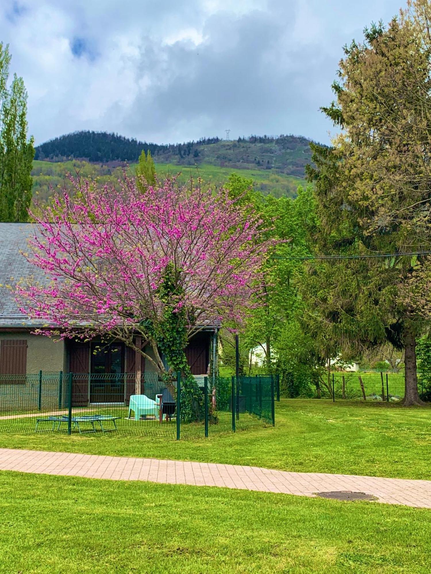 La Suite Unique - Le Jardin Sur Les Pyrenees- Vue Panoramique Montagne -Jardin Cloture Prive De 100M2-Parking-Linge De Lit Et Serviettes Compris- Bielle Exterior photo